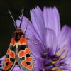 2005-05-07_Die_070