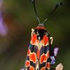 2005-05-07_Die_073