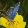 2005-07-21_Fenestre-011