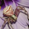 2005-05-07_Die_065