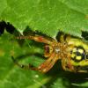2005-07-02_Ferriere-007